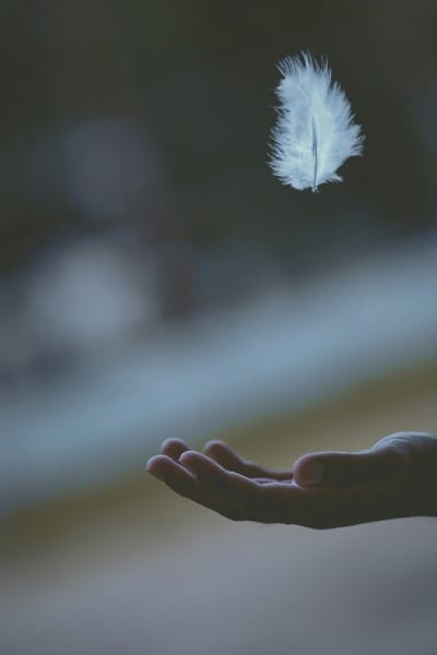 White feather dropping in person's hand showing calm in complexity