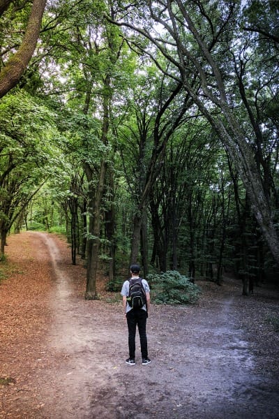 Man Standing and deciding to chose between two path in from of him