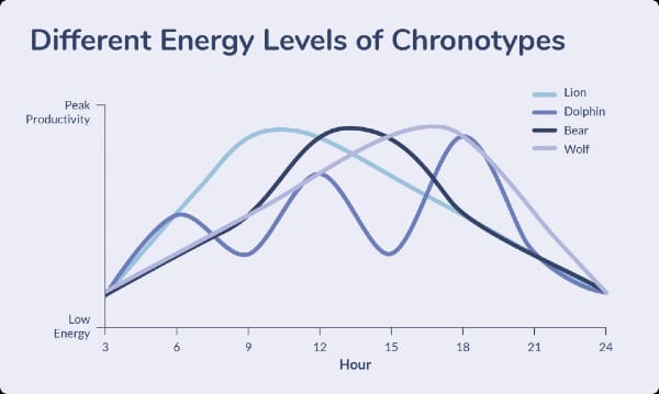 Graph showing different energy levels of 4 chronotypes - Lions, Dolphin, Bear & Wolf