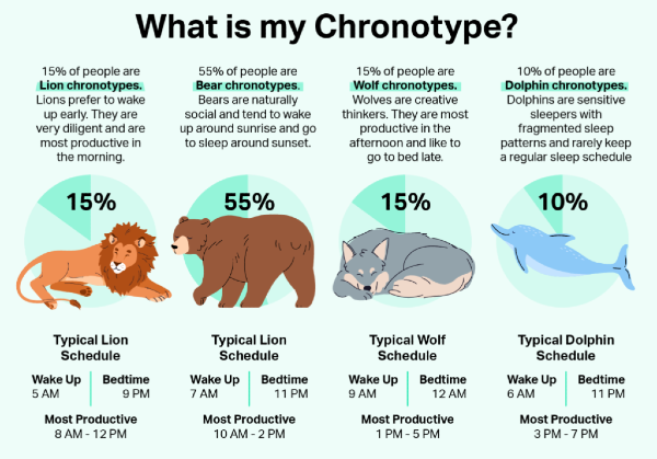 Image showing types of Chronotypes by 4 animals with their wake-up & bedtimes.